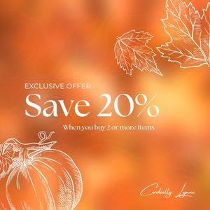 Closet Flash Sale